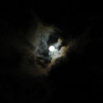 Beautiful Moon LIght Night.