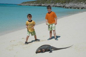 Boys with Iguana