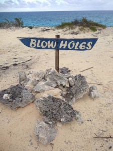 Blow Holes